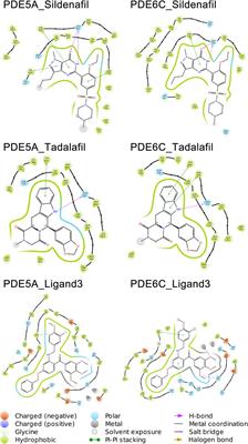 Mechanism investigation of highly selective inhibitors toward phosphodiesterase 5 and 6 via the in vitro calculation and simulation